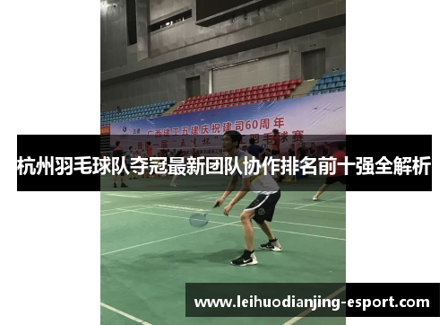 杭州羽毛球队夺冠最新团队协作排名前十强全解析